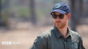 Prince Harry watching an anti-poaching demonstration in Malawi in 2019